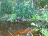 pond015