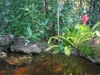 pond022