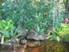 pond023
