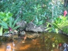 pond024